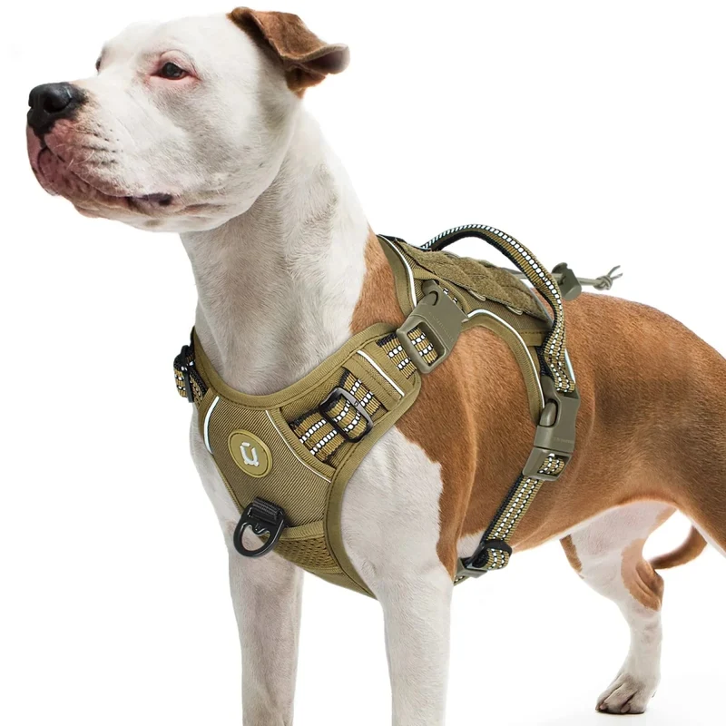 Harnais militaire pour petit chien