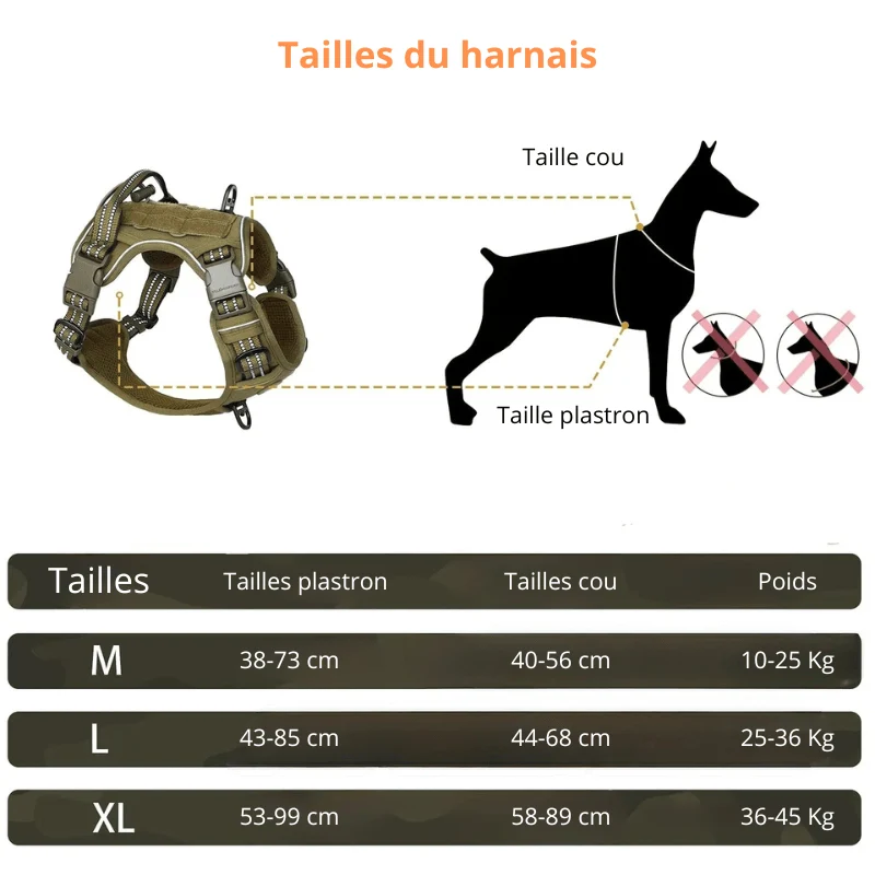 Harnais militaire pour petit chien