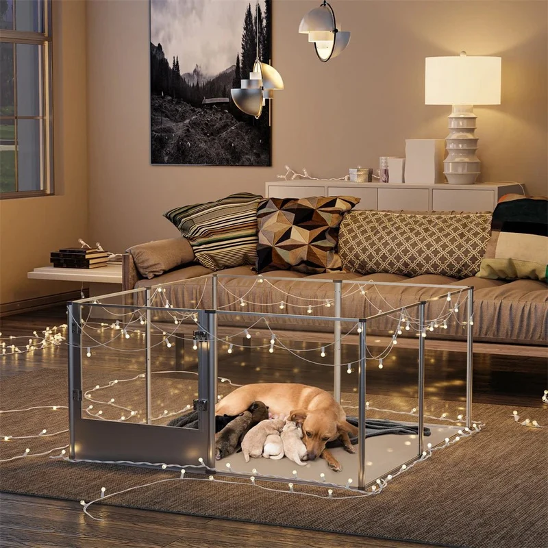 Cage transparente pour chien