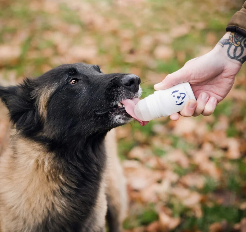DoggyRoller - Roll on - Distributeur de gourmandises liquides