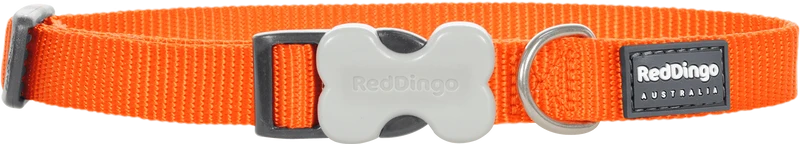 Red Dingo - Collier pour chien en nylon