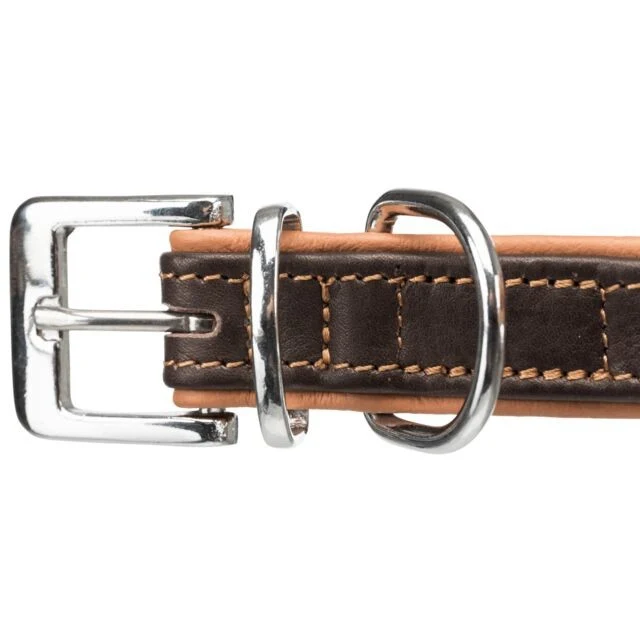 Active collier pour chien Comfort en cuir