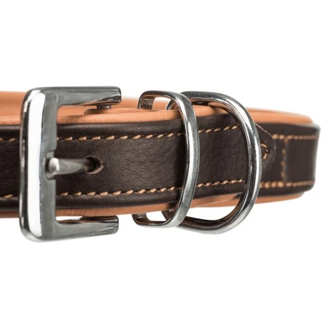 Active collier pour chien Comfort en cuir