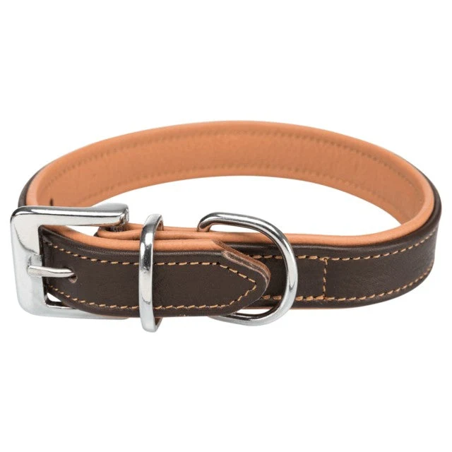Active collier pour chien Comfort en cuir