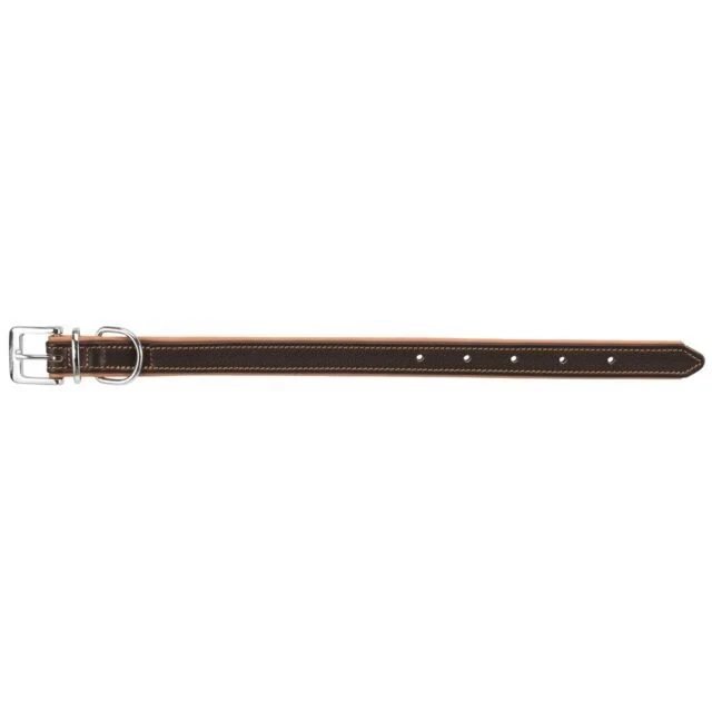 Active collier pour chien Comfort en cuir