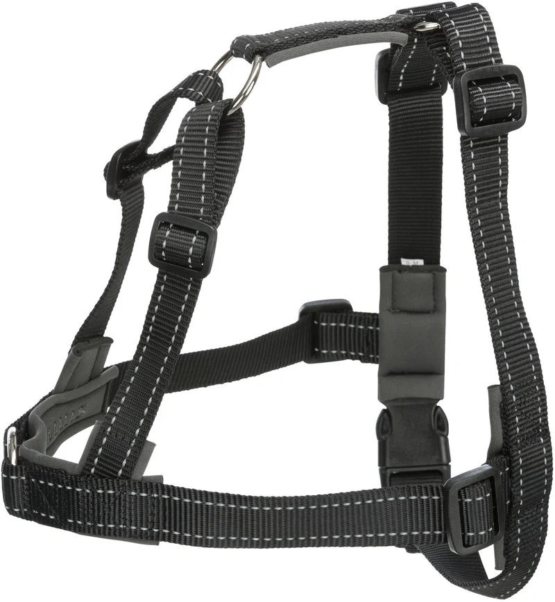 Harnais de dressage Lead and Walk Basic