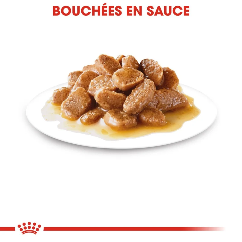 Royal Canin Mini Ageing 12 - Pâtée pour chien