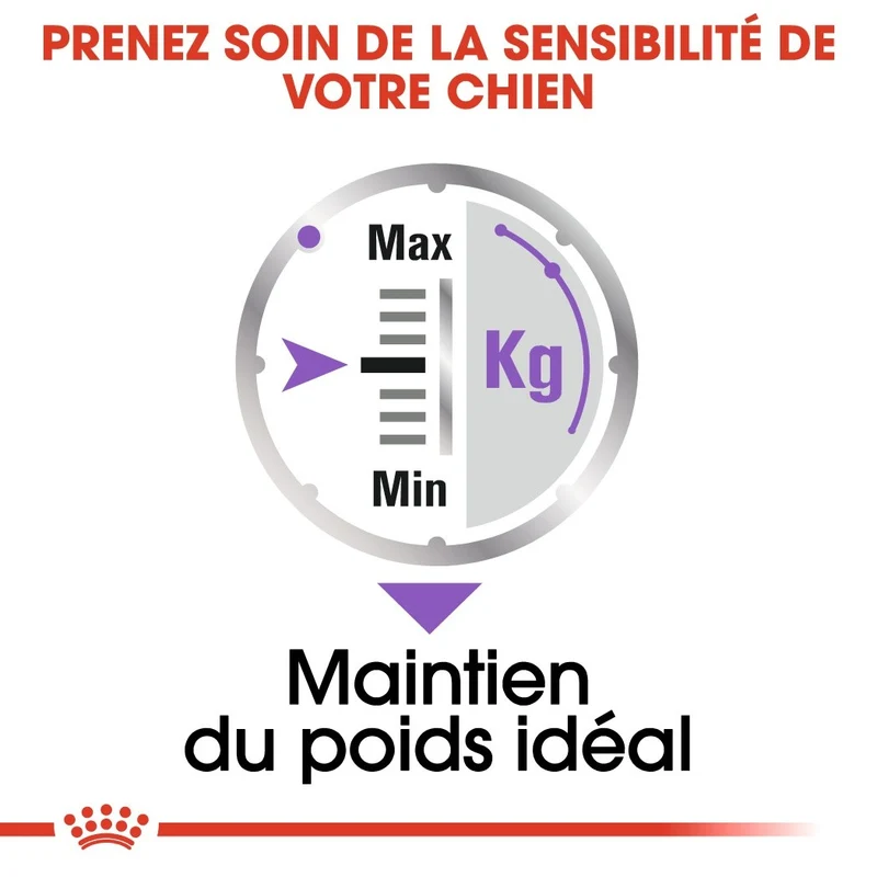 Royal Canin Sterilised - Pâtée pour chien
