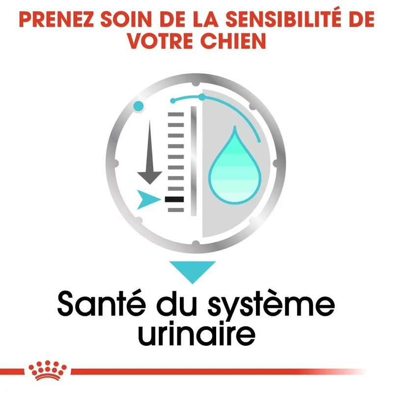 Royal Canin Urinary Care - Pâtée pour chien