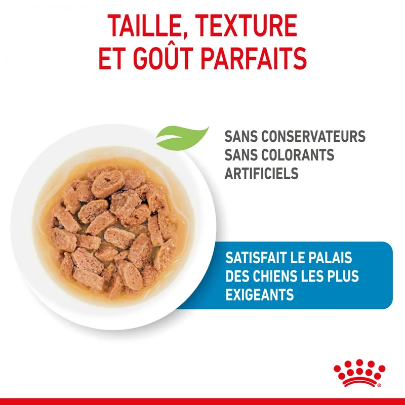 Royal Canin Mini Puppy - Pâtée pour chiot