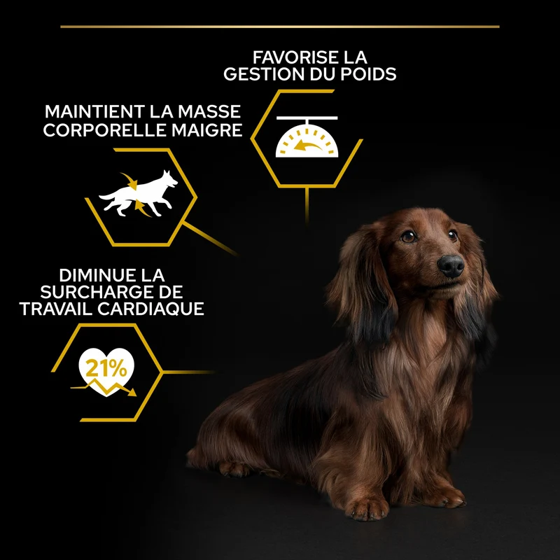 PRO PLAN Light/Sterilised Small & Mini Adult au Poulet - Croquettes pour chien