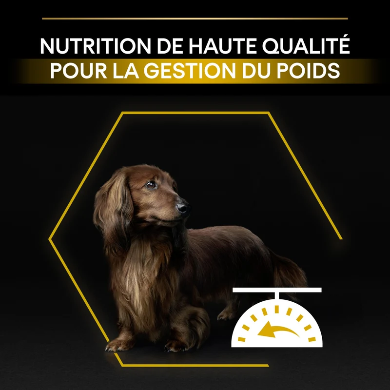 PRO PLAN Light/Sterilised Small & Mini Adult au Poulet - Croquettes pour chien