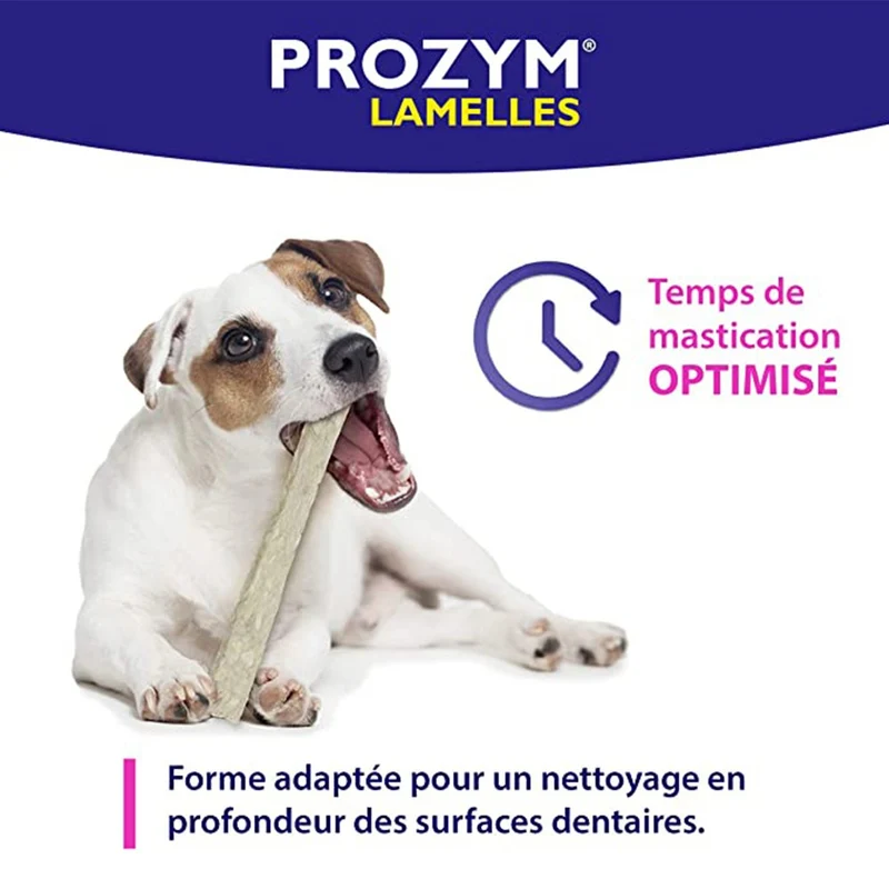 Prozym lamelles à mâcher - Lots économiques - 15 lamelles