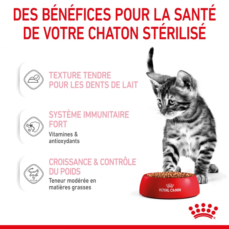 Royal Canin Kitten Sterilised - Gêlée et sauce pour chat