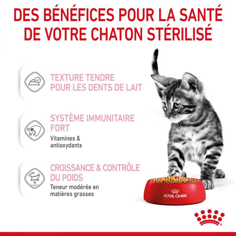 Royal Canin Kitten Sterilised - Gêlée et sauce pour chat