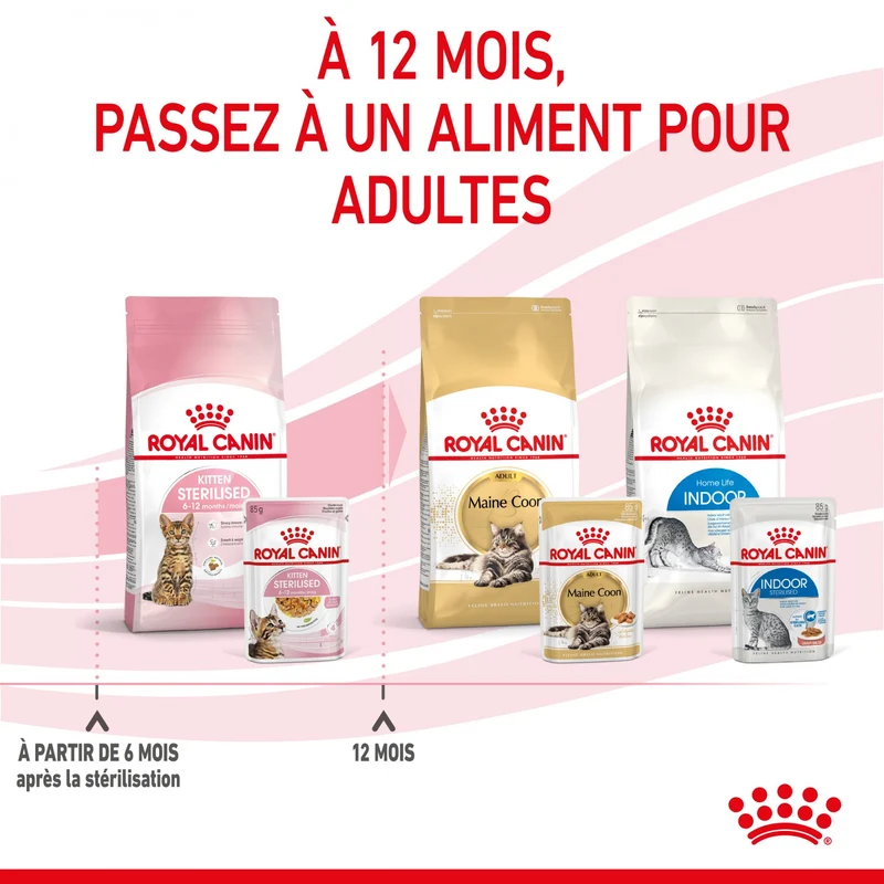 Royal Canin Kitten Sterilised - Gêlée et sauce pour chat