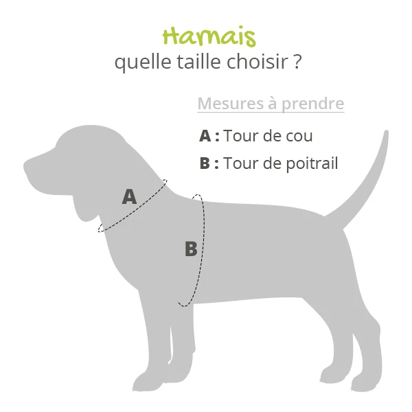 Harnais EasyWalk 3 en 1