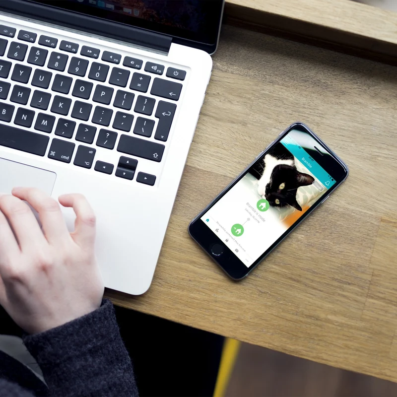 Grande chatière électronique Connect
