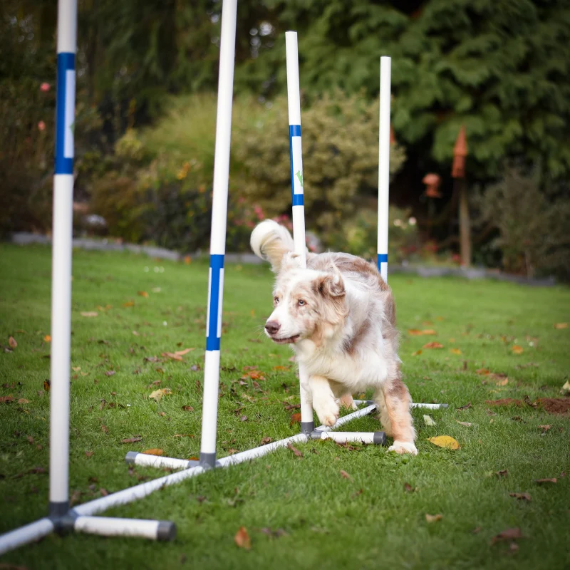 Slalom d'entrainement PVC