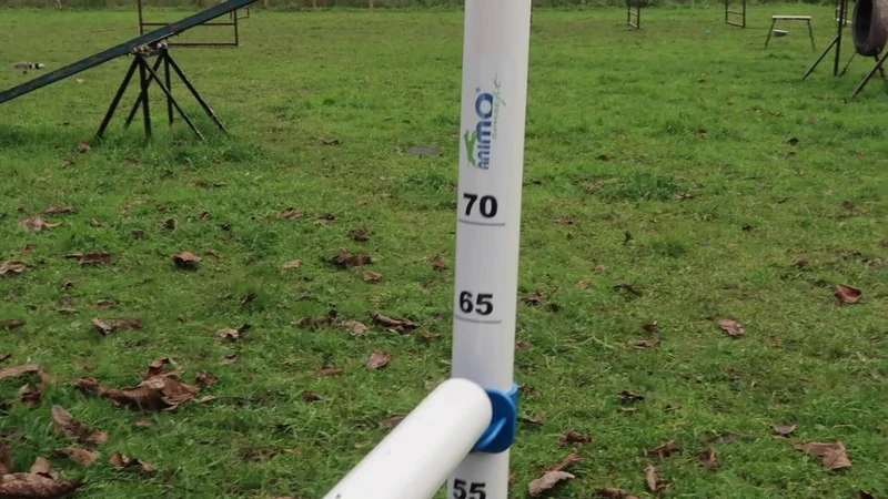 Agility Run Haie d'entrainement en PVC