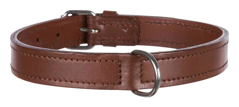 Collier en cuir pour chien Active