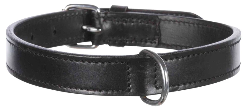 Collier en cuir pour chien Active