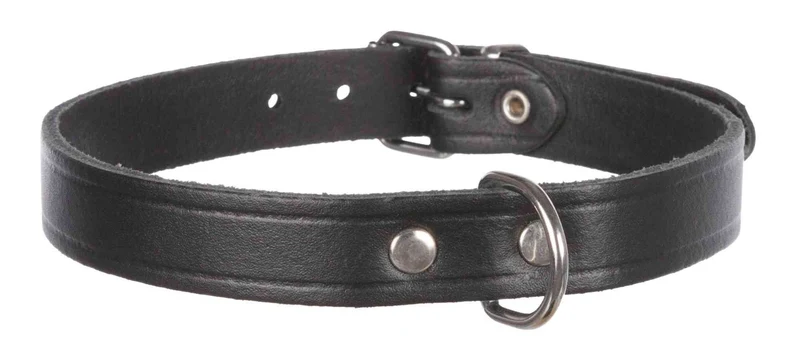 Collier pour chien Basic