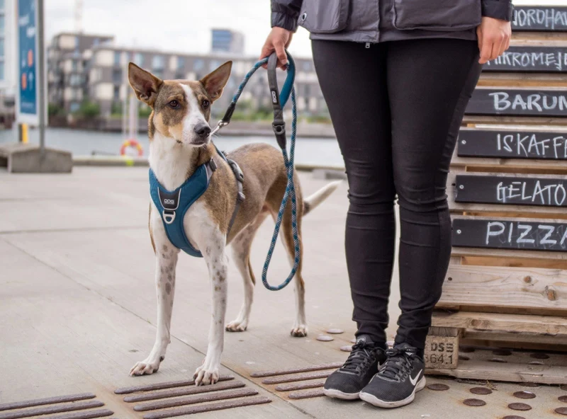 DOG COPENHAGEN - Laisse Urban Rope