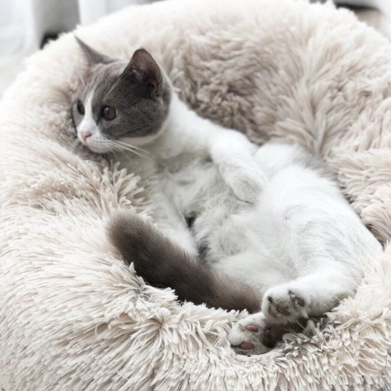 Coussin Reve