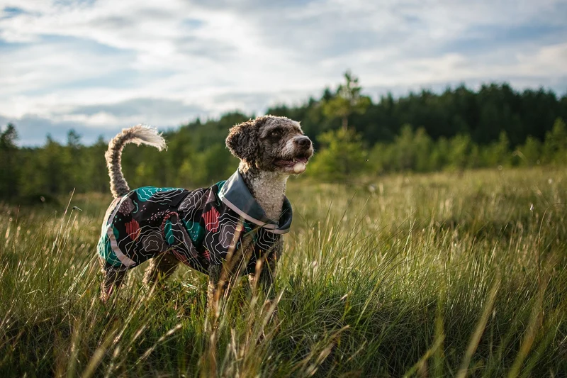 Pomppa Sade Manteau impermeable pour petit chien