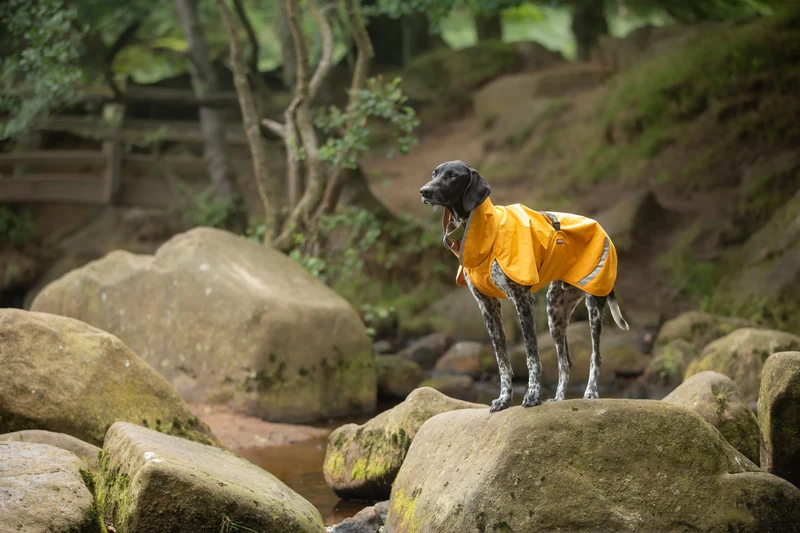 Pomppa Sade Manteau impermeable pour petit chien