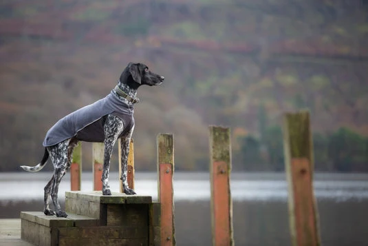 Pomppa Jumppa manteau polaire grand chien
