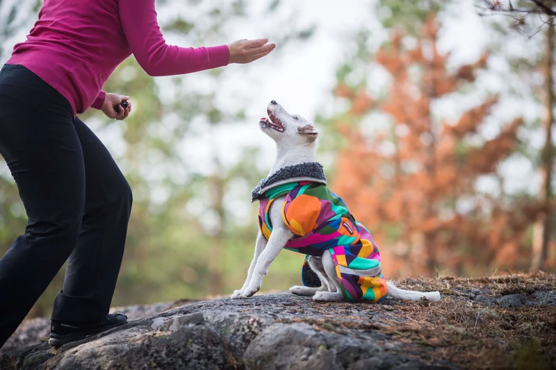Pomppa Toppa manteau impermeable doublé pour chien Moyen