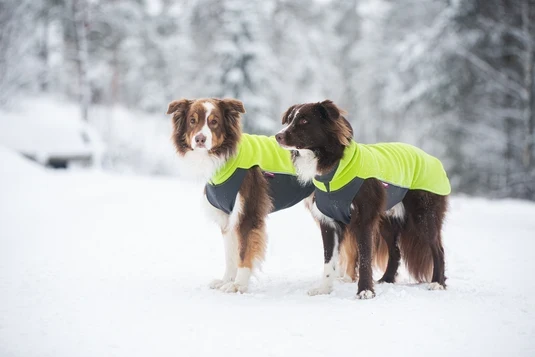 Pomppa Jumppa manteau polaire petit chien