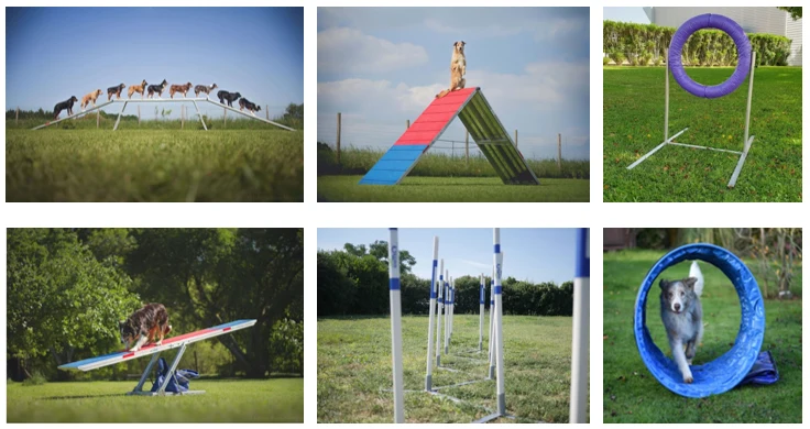 Parcours complet Agility Run -