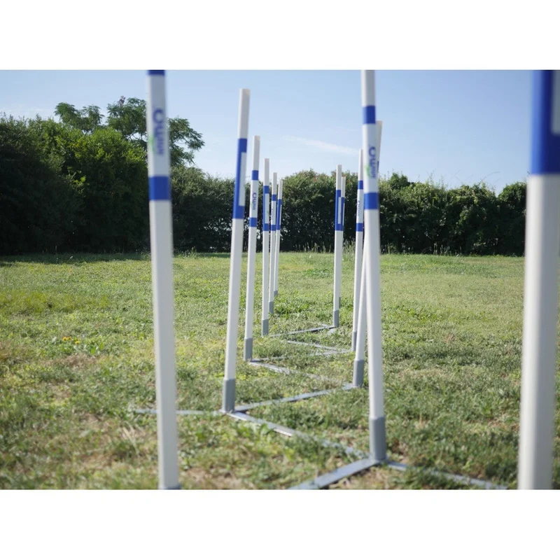 Parcours complet Agility Run -