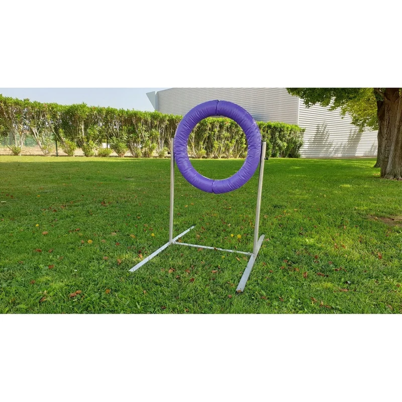Parcours complet Agility Run -