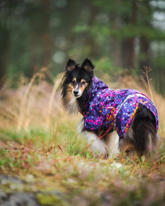 Pomppa Kevyt Manteau impermeable pour grand chien