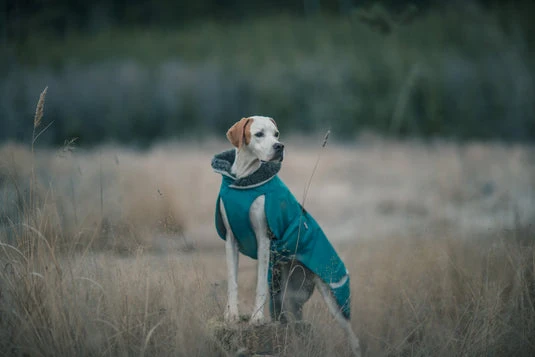 Pomppa Toppa manteau impermeable doublé pour petit chien