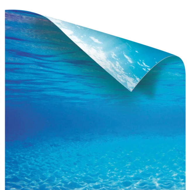 Poster 2 XL 150x60cm recto-verso pour Aquarium JUWEL