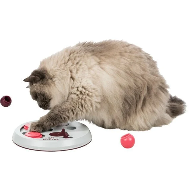 Plateau de jeu pour chat flipboard
