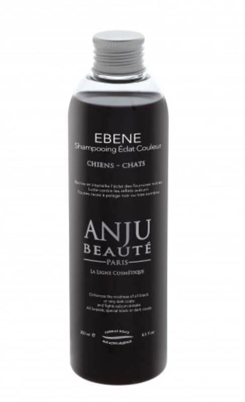 Anju Beauté shampooing éclat couleur ébène
