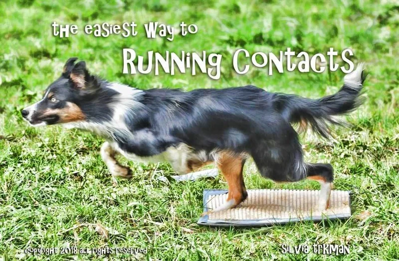 DVD La joie des Running Contacts