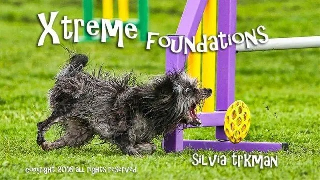 DVD agility Xtreme Foundations par Silvia trkman