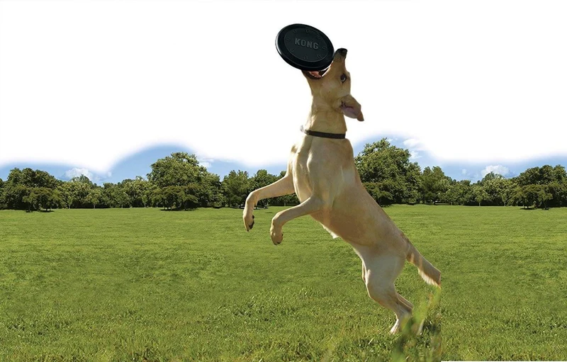 KONG frisbee flyer extreme