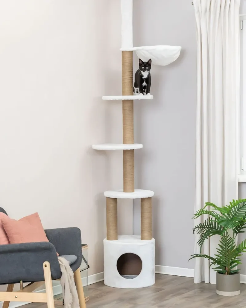 Arbre a chat Aurelio a hauteur ajustable