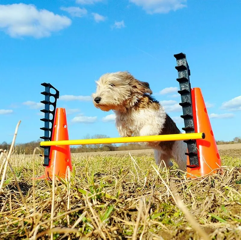 FitPaws saut d'obstacle Hurdle Set