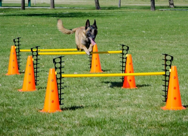 FitPaws saut d'obstacle Hurdle Set