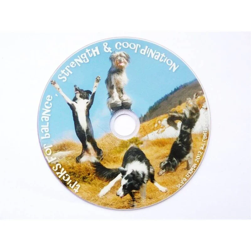 DVD Tricks for balance strenght and coordination