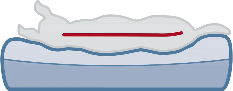 Vital Matelas Bendson